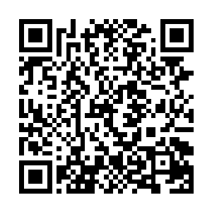 你在甄妮他家里人面前欲擒故纵那点把戏不要说我们二维码生成