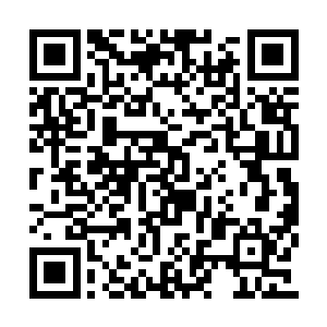 你在训练中反复使用一个标准技术动作――夺刃二维码生成