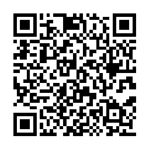 你在这么短的时间里就将五属性融合到小成境界二维码生成