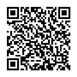 你堂姑姑萧珊珊失踪前的男朋友就是容家的容烨二维码生成