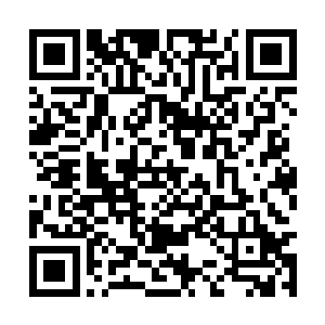 你大舅母几个怕你回来告状所以困着你不叫你回来二维码生成