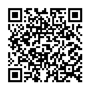 你天生就应该是个能够让人看一眼就无法忘记的那种存在二维码生成