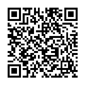 你娘她……她不会是让红姨把东夏国的传国玉玺也带回来了吧二维码生成