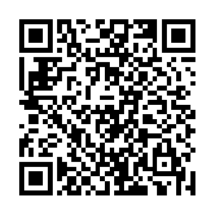 你完全可以当着他们所有人的面诉说你所遭遇到的委屈二维码生成