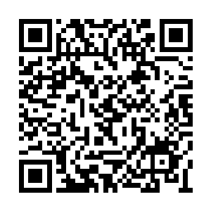 你完成了细胞核的移植――这是克隆的关键步骤二维码生成