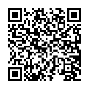 你家小红骷髅脑袋上的那裂缝只是看起来比较恐怖而已二维码生成