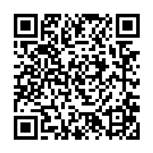 你家殿下昨晚上吃完一盘子后口渴就接了杯冷水喝了二维码生成