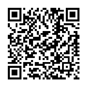 你寝宫西北角的那几株老梅怕是便要开得一片荼靡了二维码生成