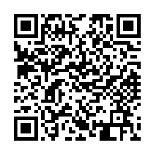 你对我这个人还不够了解――我们这才算是第一次见面二维码生成