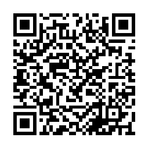 你将会是反抗军诸多派系之中稳稳占据主导地位二维码生成