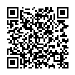 你将和十万大山的金方道友以及红鬼老怪一起领教正道盟的高招二维码生成