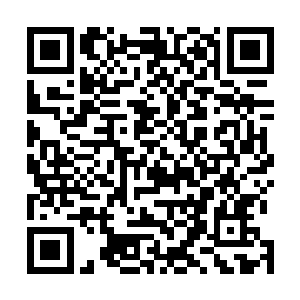 你将来可不会永远呆在神之大陆还有神界这么一方小天地二维码生成