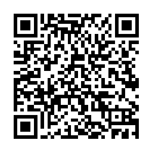 你将这一次的中品灵石和下品灵石全部换成上品灵石二维码生成