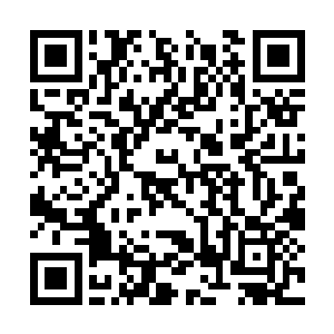 你将这玩意儿的相关一切东西都原原本本的告诉我二维码生成