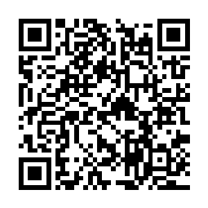 你小子……我们这不是看你打了这么大的一头野猪二维码生成