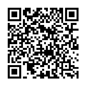 你小子又不是不知道我的功力根本就不会影响到一点儿二维码生成