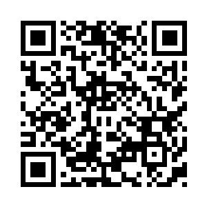 你小子这个时候就想成为龙族的主事人了二维码生成