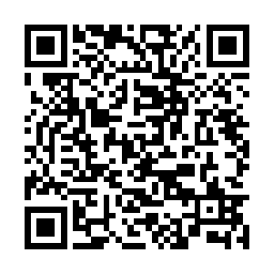 你小时候有看过美少女战士么可能你们男生不喜欢二维码生成