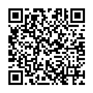 你就不怕上了楼之后就被我爷爷关起來然后强迫你娶我二维码生成