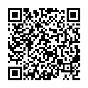 你就不要想着得罪纪委书记还能否升迁的问题了二维码生成