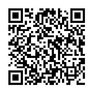 你就会被再次打回普通玩家的身份…一切都要重头再来一次二维码生成