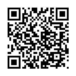 你就作为天鹤家族的第一个赎罪之人吧二维码生成