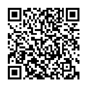 你就利用基因库生产出来这么多所谓基因优秀的堪塔斯幼崽吗二维码生成