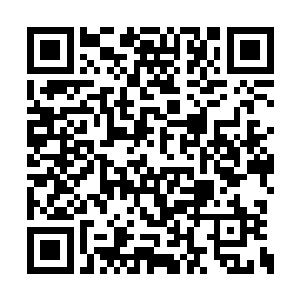 你就别和我太客气了――也别总是恩人恩人的叫二维码生成