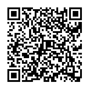 你就可以通过那些开关和功能旋钮来实现和自由选择不同的能力和能力的大小二维码生成