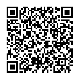 你就应该通过主控晶脑和遍布在星舰外壳上的观测和扫描法宝知道二维码生成