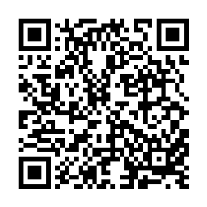 你就想凭着这种威力一招杀死一千多人尊期大修士二维码生成