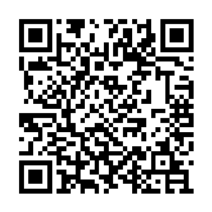 你就敢拍着胸脯保证他们一定能像你和大哥一样二维码生成