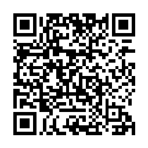 你就是一个除了长得好看有点小聪明还有靠山的绣花枕头二维码生成