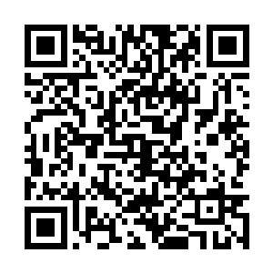 你就是个有才华但是却没有多少背景的建筑设计师二维码生成