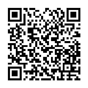 你就是咱们河东省……至少是南湖地区的教育典型二维码生成