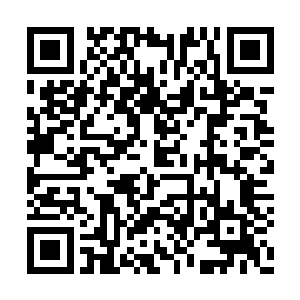 你就是要我们龙人去给你们组龙骑士战队打战的二维码生成