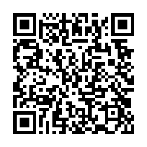 你就是那个连闯试练塔三十层的银河系天才对吧二维码生成