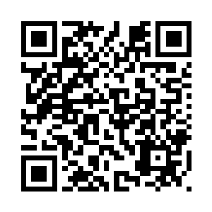 你就留在客栈抱着瓷枕数碎银好了二维码生成