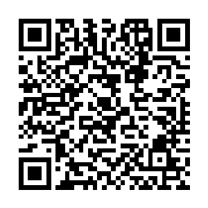 你就真的忍心让咱们放着好东西不用看着好衣裳不穿二维码生成