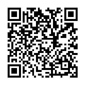 你就老老实实回到太虚宗等着我攻破万妖大阵之后二维码生成