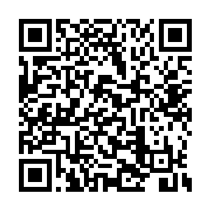 你就觉得能吞下我在九龙城努力打拼下来的一切二维码生成