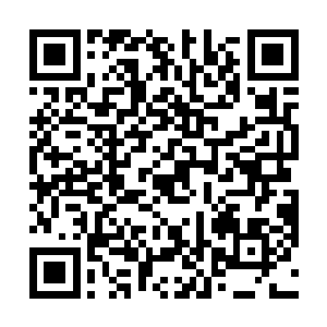 你就说我小岳十分的期待他再一次的来我们寻宝斋做客二维码生成