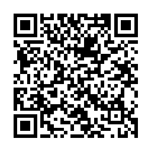 你就走出来让我看看你的样子呵好像我从来都没见过你二维码生成