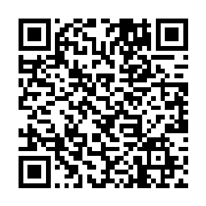 你就跟我承认你们沐家的人都是没胆的鼠辈就可以了二维码生成