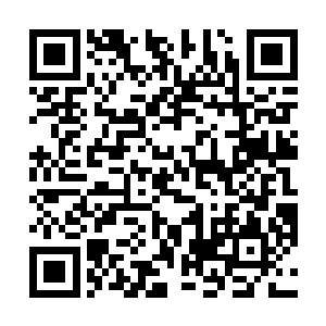 你就这么和他们说……我不相信他们会对这个没有兴趣二维码生成