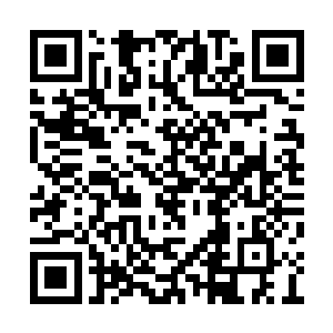 你居然这么不知死活的想要拼着寿元来和我战斗二维码生成