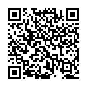 你差点害我们错过了这次的祭典……如果因此令神祗降下了怒火二维码生成