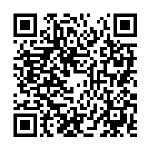 你已经成为了这北狱鬼王令中一个非常特殊的器灵二维码生成