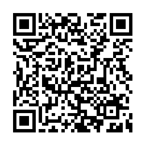 你已经打算跟白奇雪一起培养一段很深的感情了二维码生成