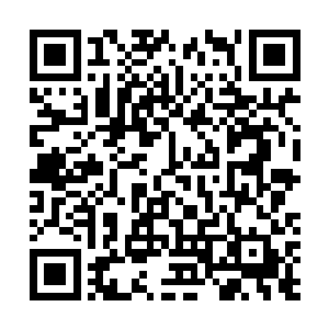 你已经拥有了比无数人穷尽一生都无法得到的荣誉和人气二维码生成